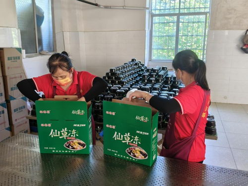 年順食品廠 守護贛南餐桌安全，共筑健康生活新未來